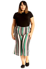 6089 Stripe Print Culottes