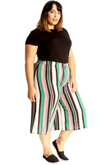 6089 Stripe Print Culottes