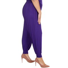 Plain Full Length Ali Baba Trousers