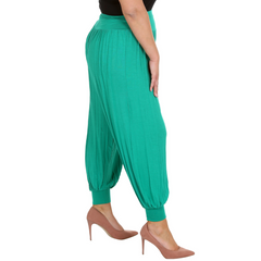Plain Full Length Ali Baba Trousers