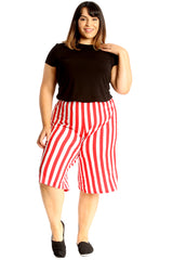 6120 Stripe Print Culottes