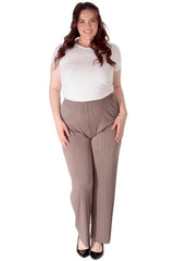 Plain Pleated Trousers