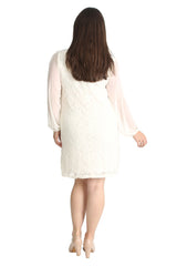 2208 Chiffon Sleeve Lace Dress