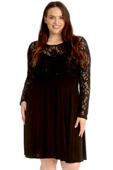 Chiffon Sleeve Skater Dress