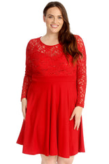 Chiffon Sleeve Skater Dress