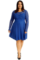 Chiffon Sleeve Skater Dress