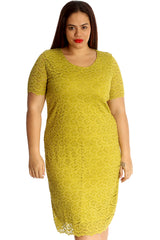 2119 Floral Lace Midi Dress