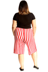 6120 Stripe Print Culottes