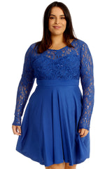 Chiffon Sleeve Skater Dress